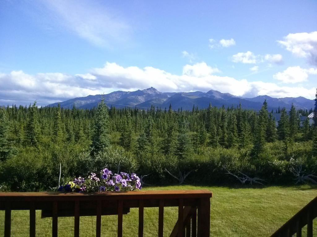 Denali'S Alaskan Spruce Cabins Healy Exterior foto